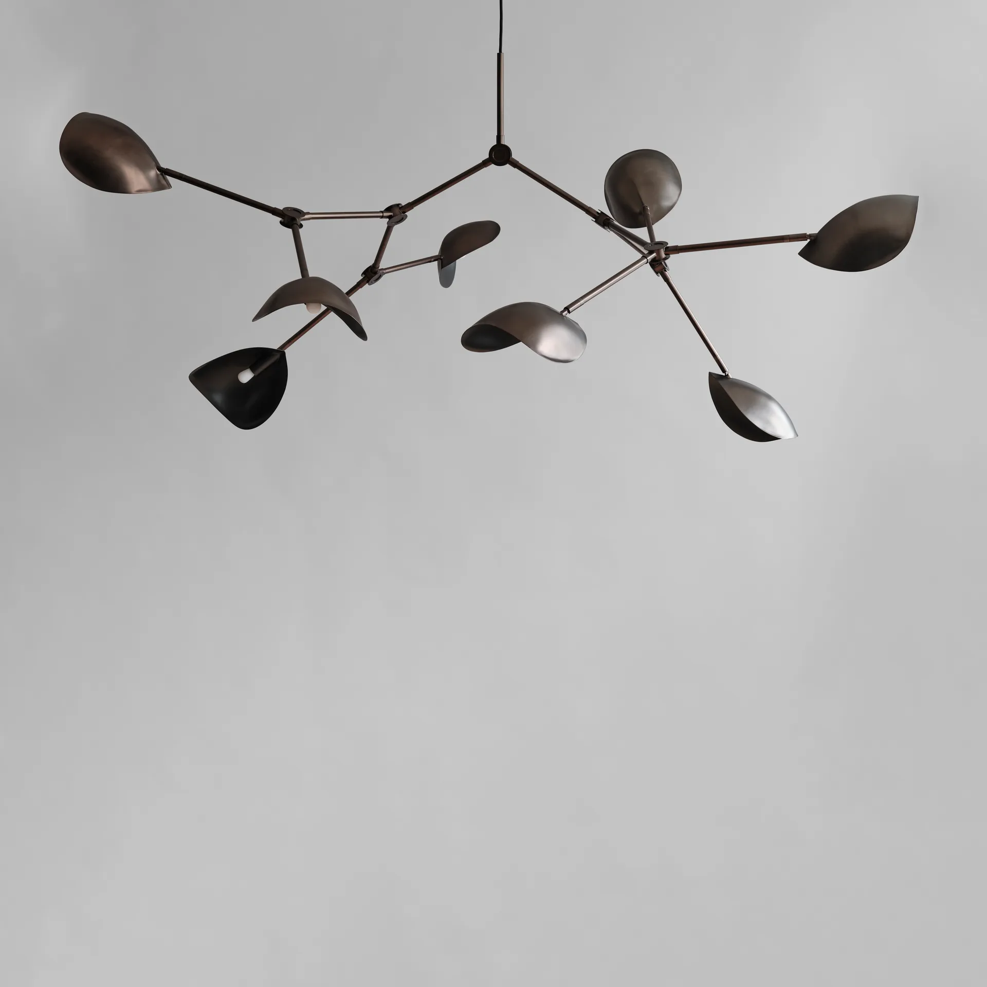 Stingray takkrona Grande, Bronze 101 Copenhagen