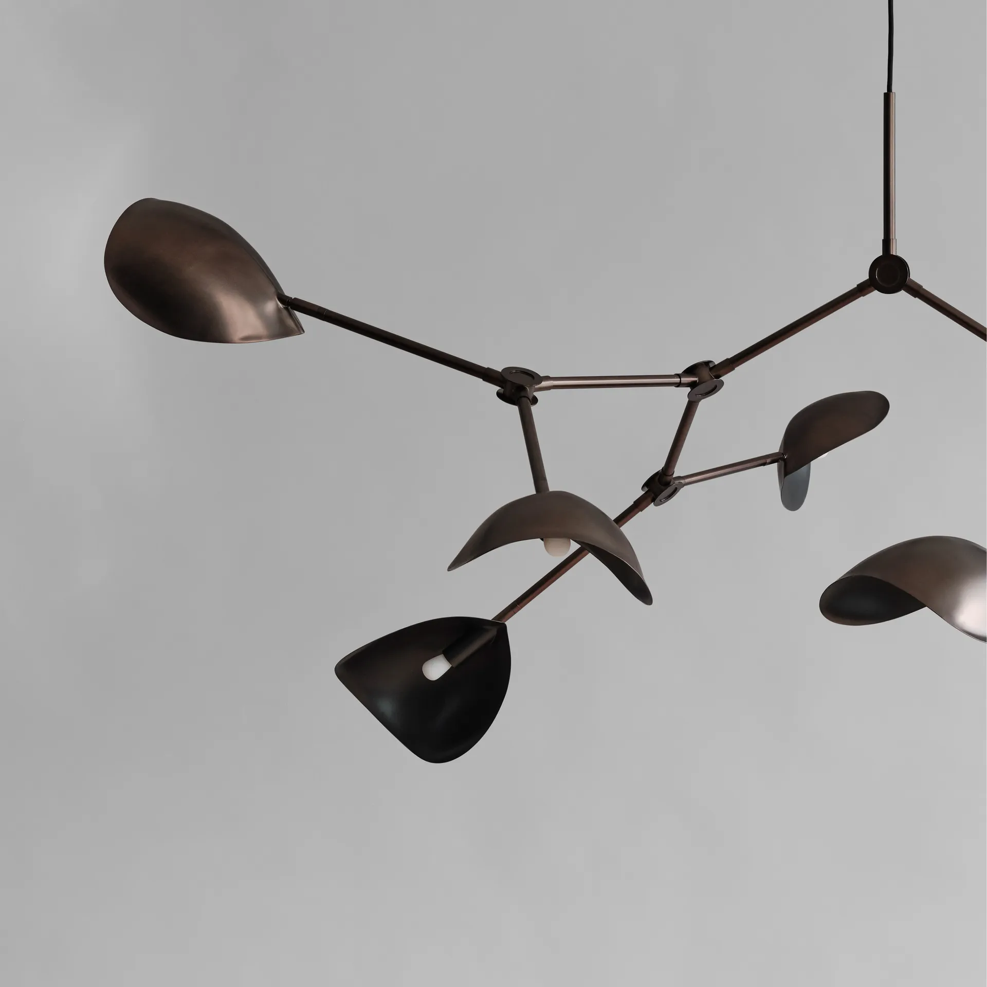 Stingray takkrona Grande, Bronze 101 Copenhagen