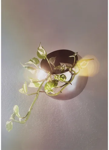 Globe kruka vägg Ø21 cm - Silver - AYTM