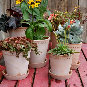 Helena kruka Ø10 cm - Rosa - Bergs Potter