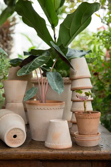 Helena kruka hög Ø14 cm - Rosa - Bergs Potter