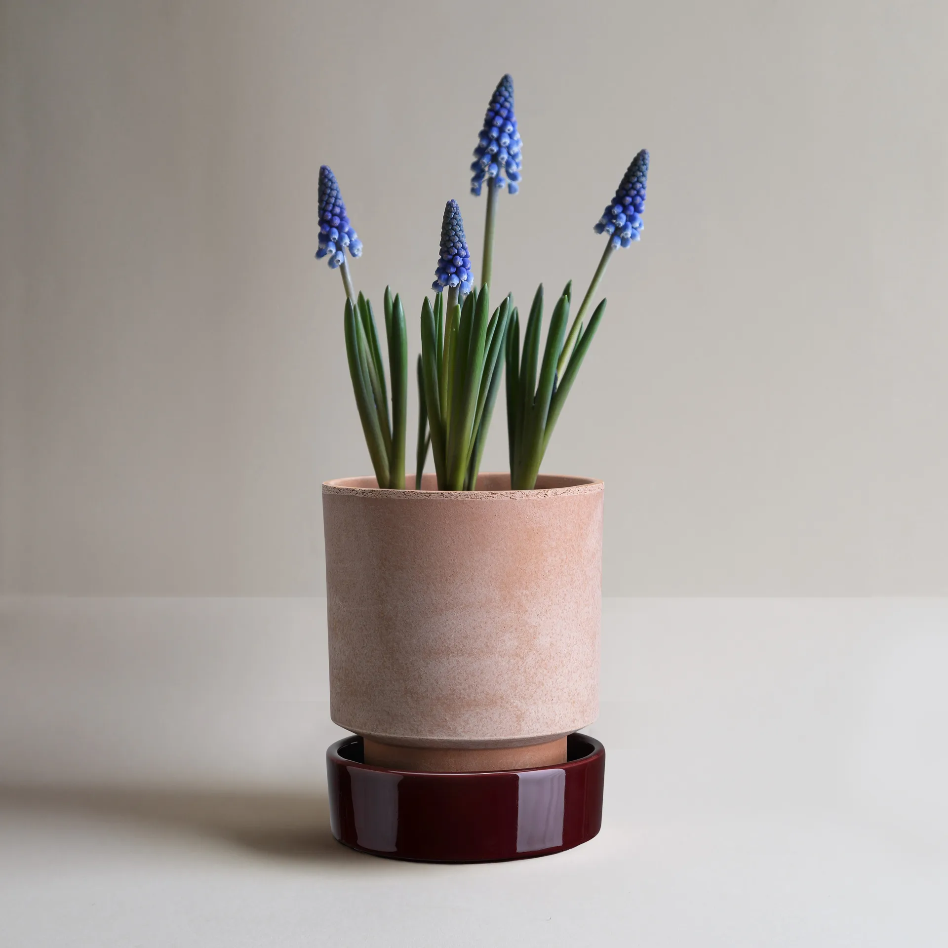 Hoff kruka, Ø16 cm, Raw Rosa-Deep Burgundy Bergs Potter