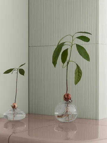 Avo vas 9,5 cm - Klar - blomus