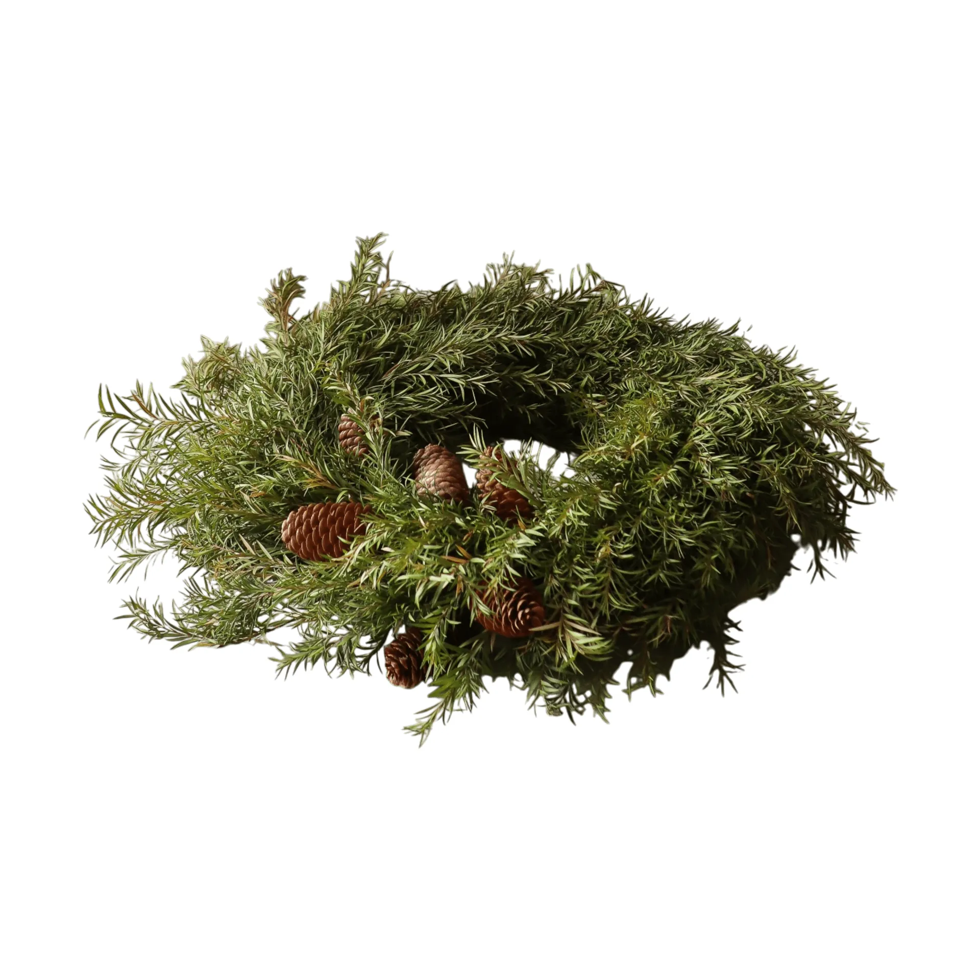 Evergreen Pine Wreath krans, Granris, Ø40 cm Botané