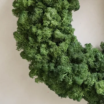 Moss Wreath mosskrans - Green, Ø40 cm - Botané