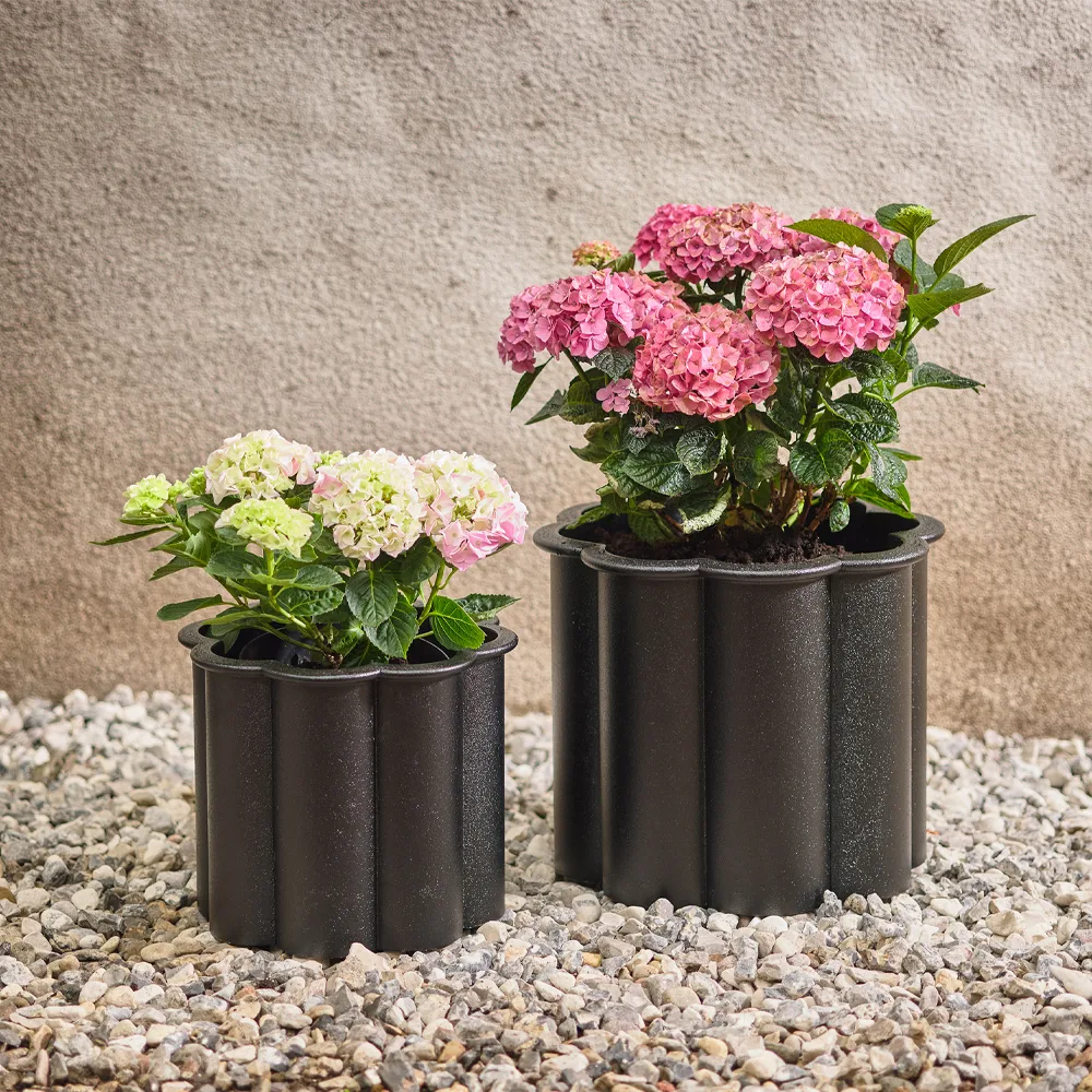 Gråsippa kruka, Svart, no. 3 Ø62 cm Byarums bruk