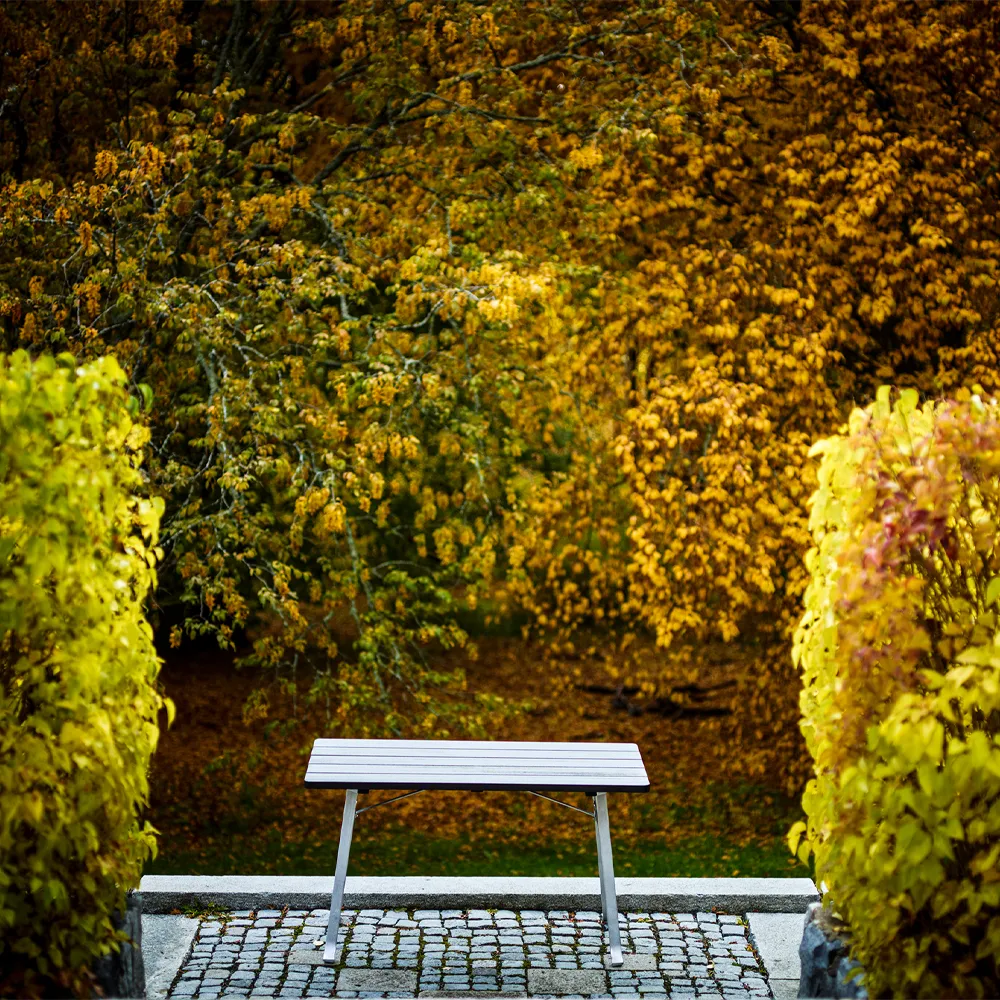 Seriff bord, Mahogny svart lasyr, svart stativ Byarums bruk