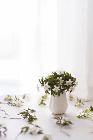 Clover vas 11 cm - White - Cooee Design
