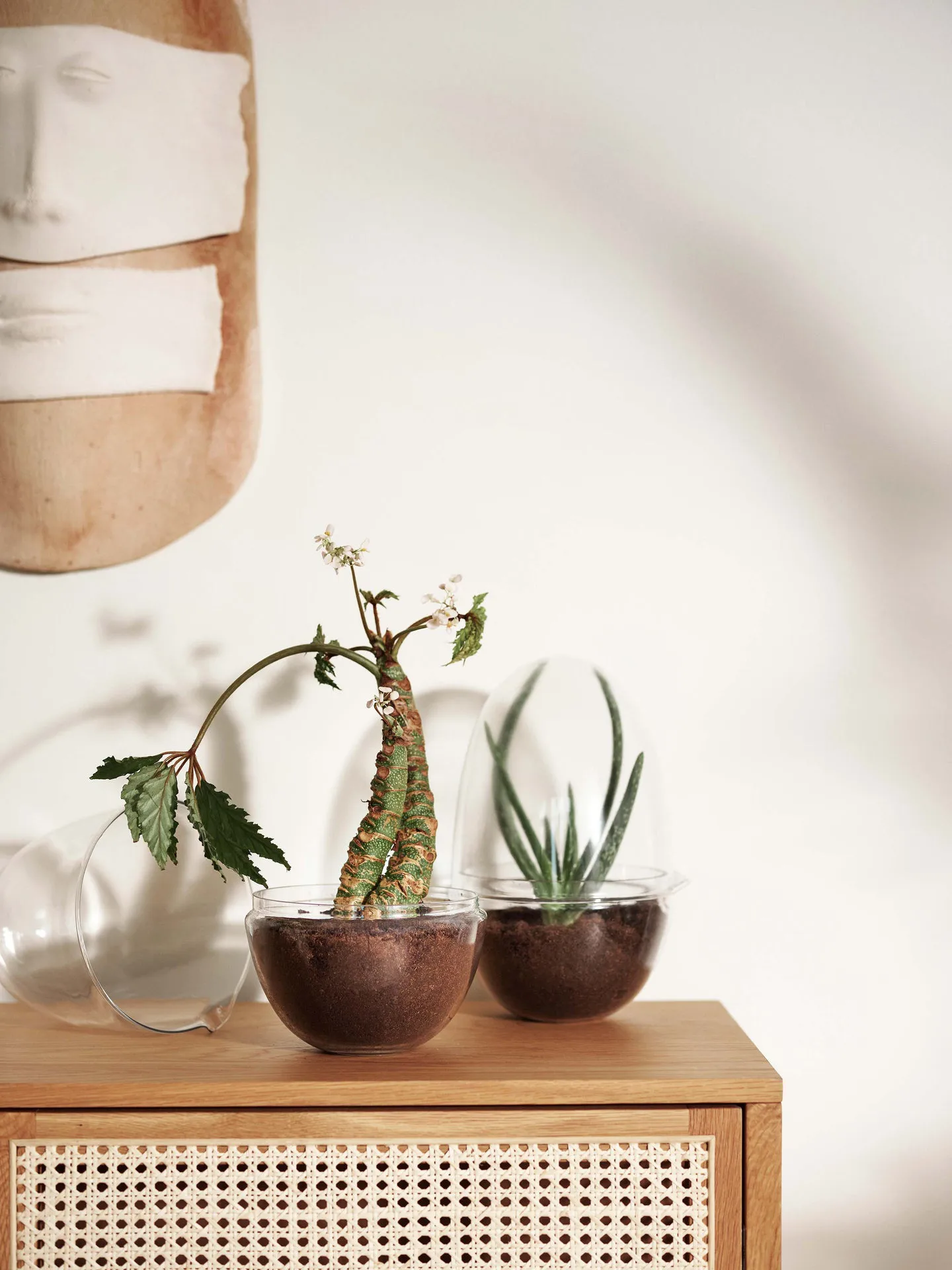 Grow odlingskupa, x-large Ø20 cm Design House Stockholm