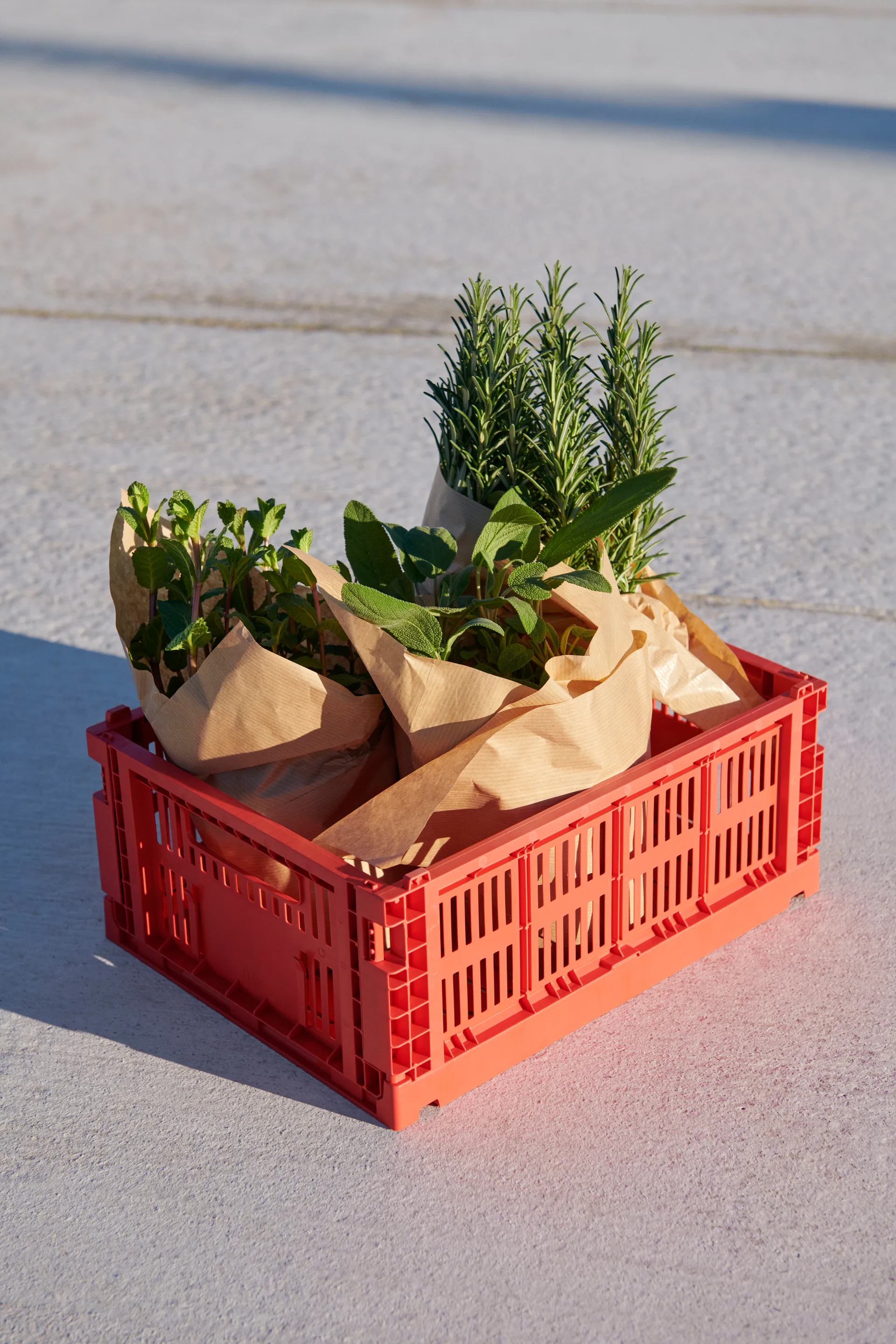Colour Crate M 26,5x34,5 cm, Red HAY