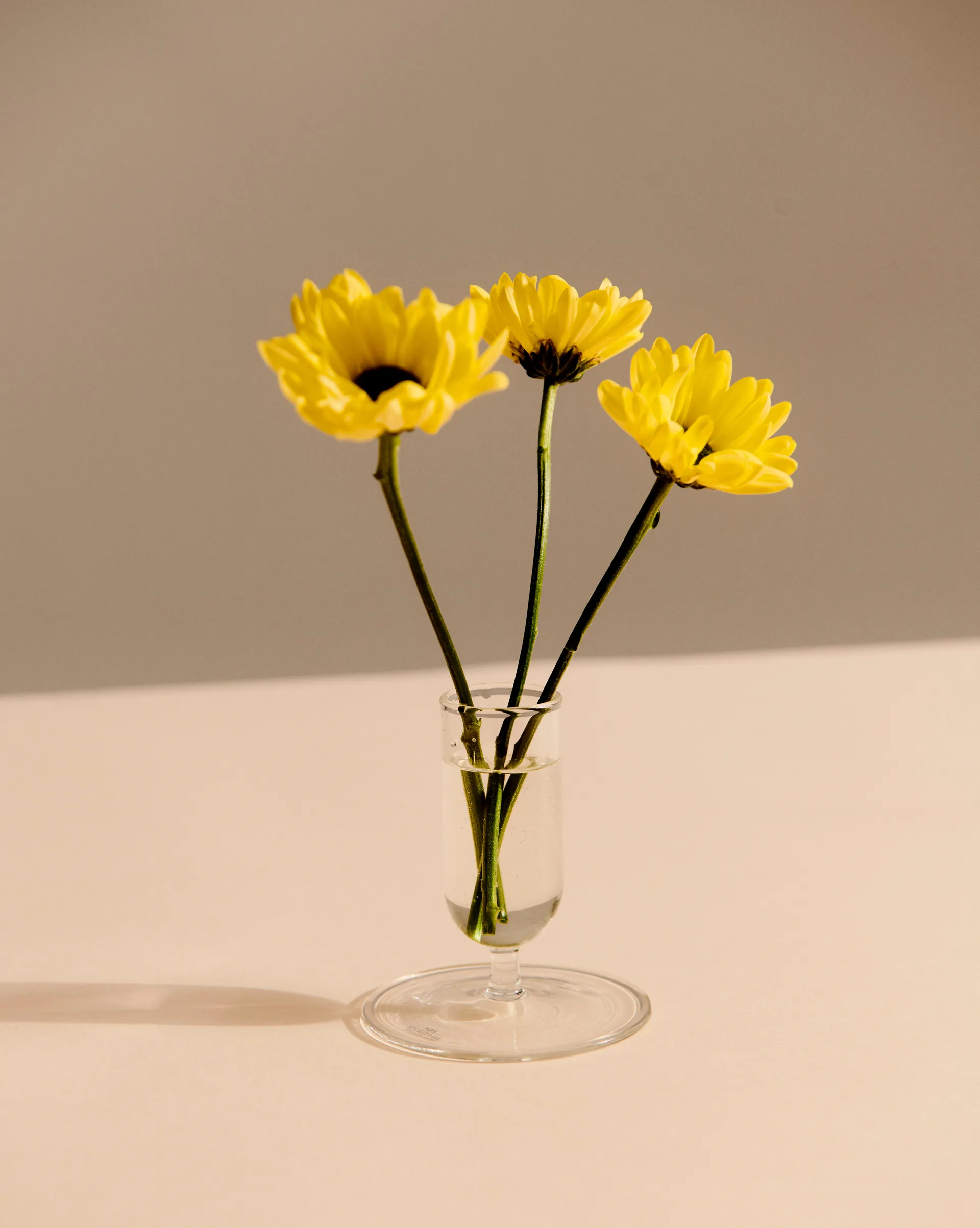 Tiny vas 7 cm, Clear HAY