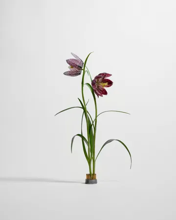 Kenzan vas - Ø2,3 cm - Hein Studio