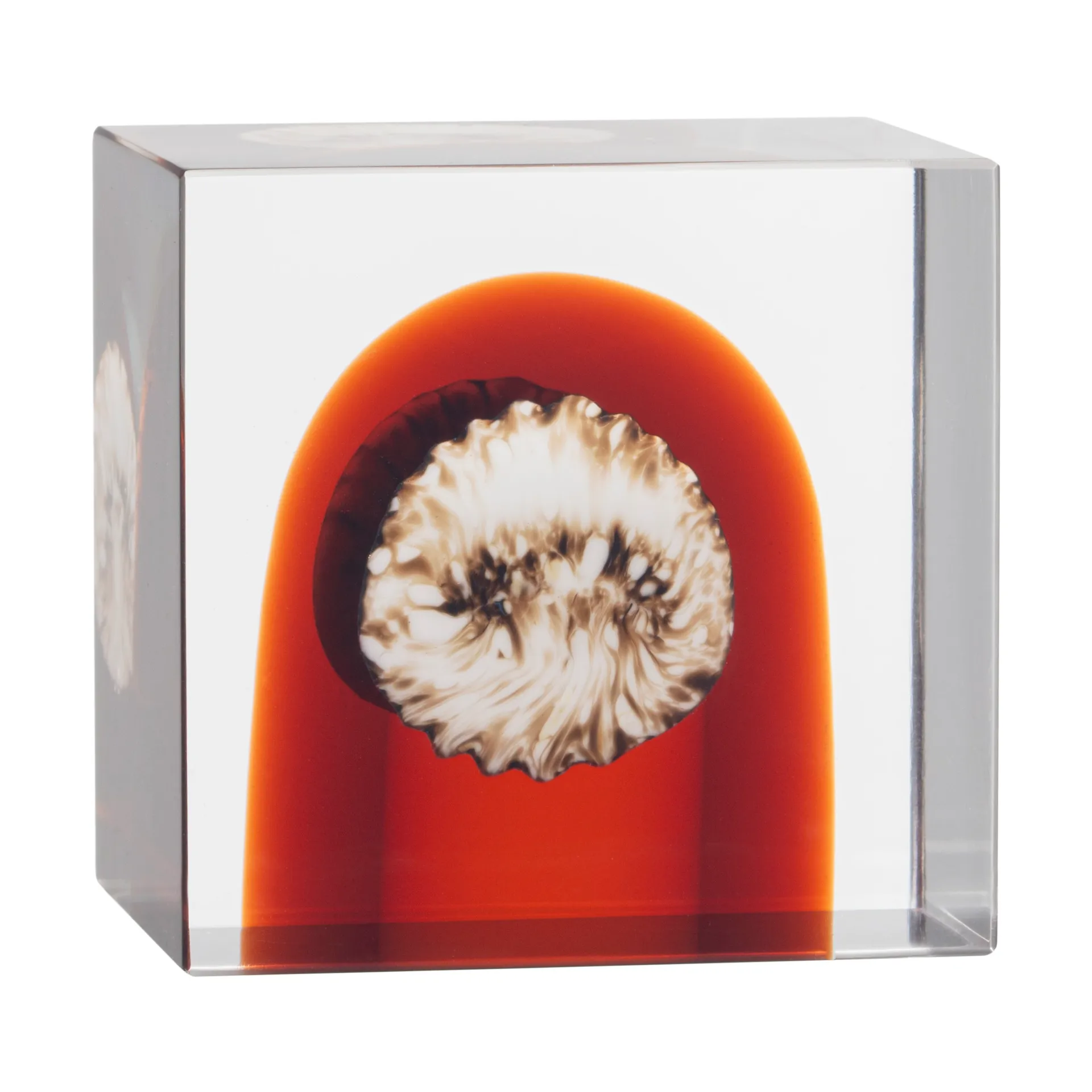 Iittala årskub, 2026 Iittala