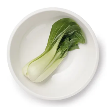 Raami rund serveringsskål 29 cm - Vit - Iittala