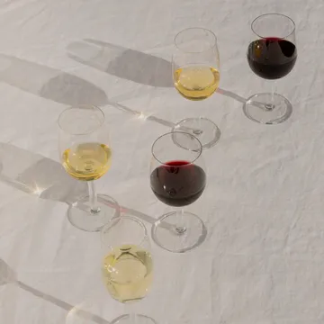 Raami vitvinsglas 28 cl - 2-pack - Iittala