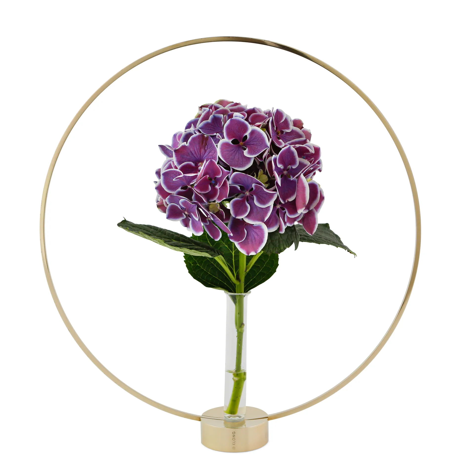 Flora glasinsats, glasvas KLONG
