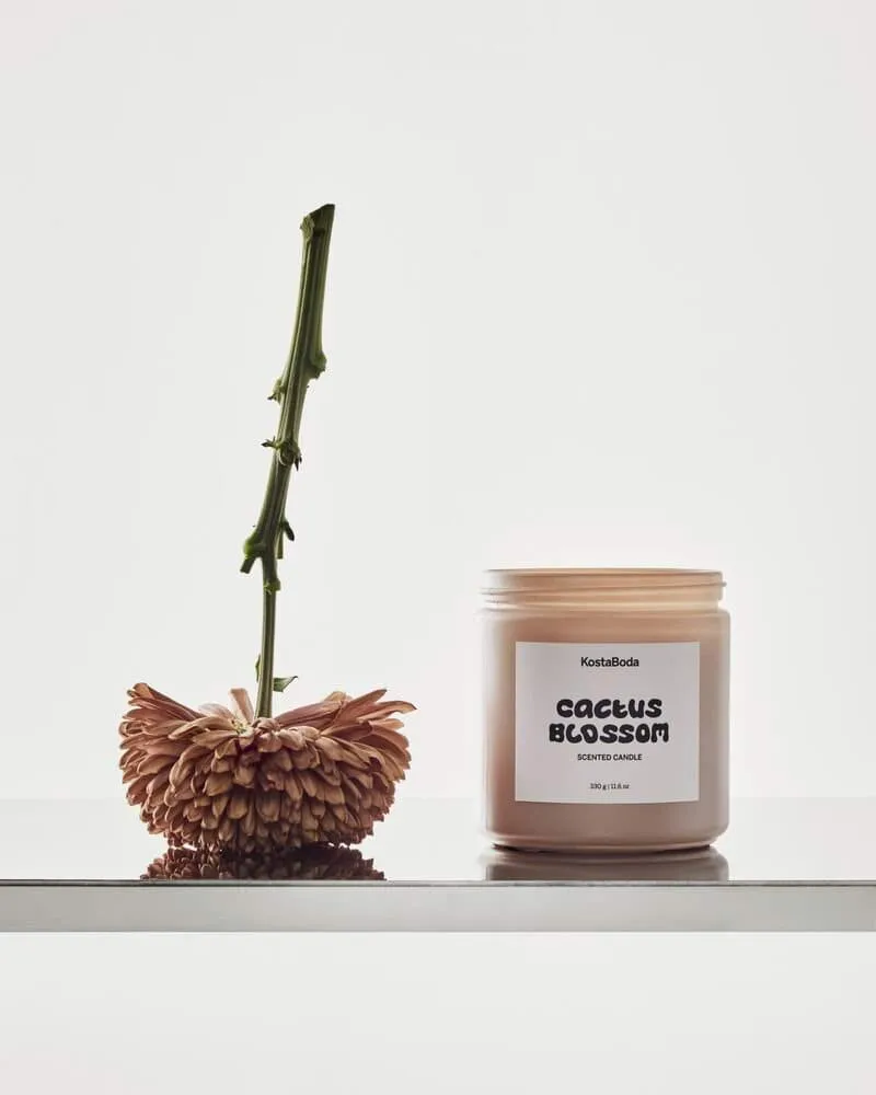 Mind doftljus, Cactus Blossom, 330 g Kosta Boda