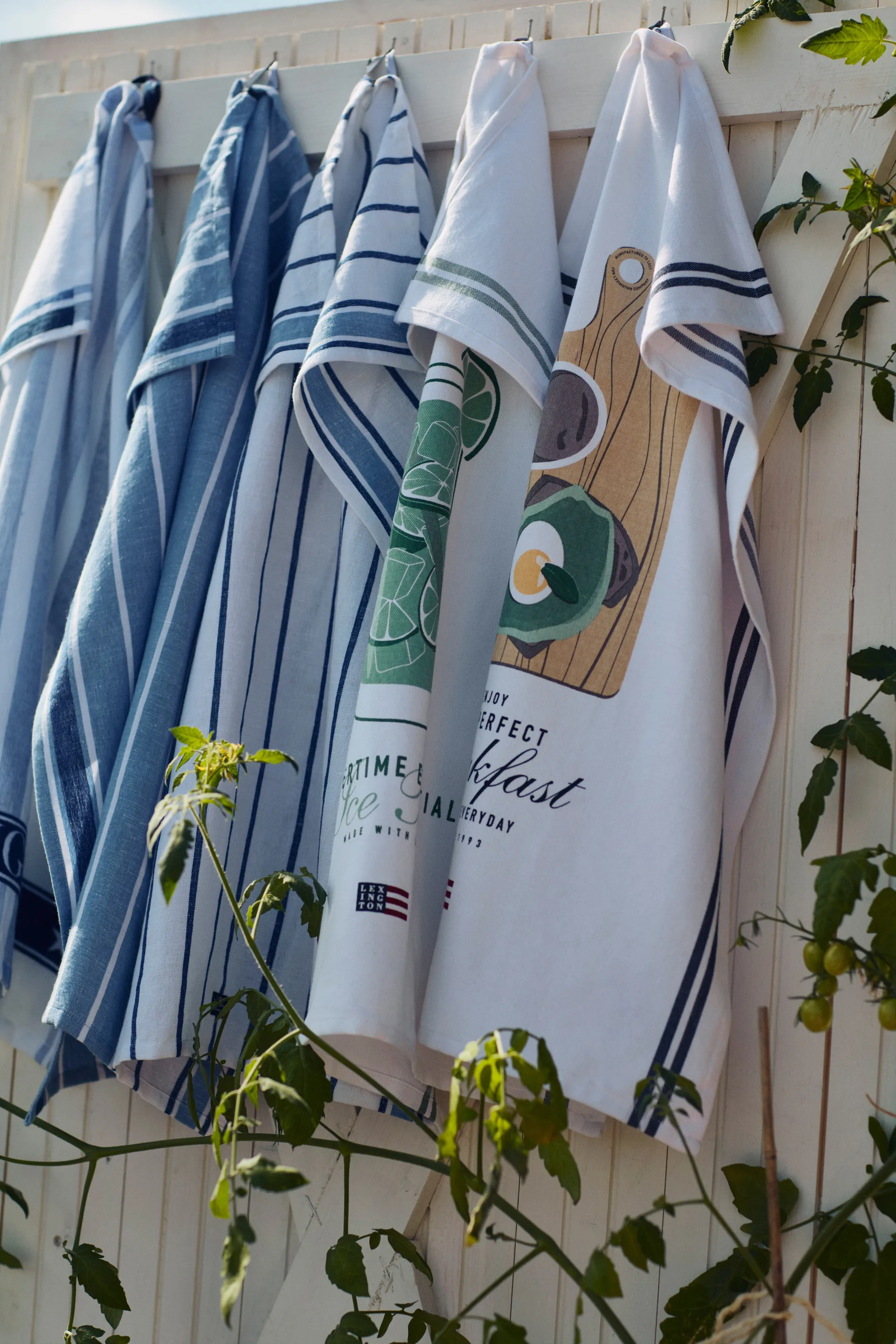 Striped Cotton Terry kökshandduk 50x70 cm, White-blue Lexington