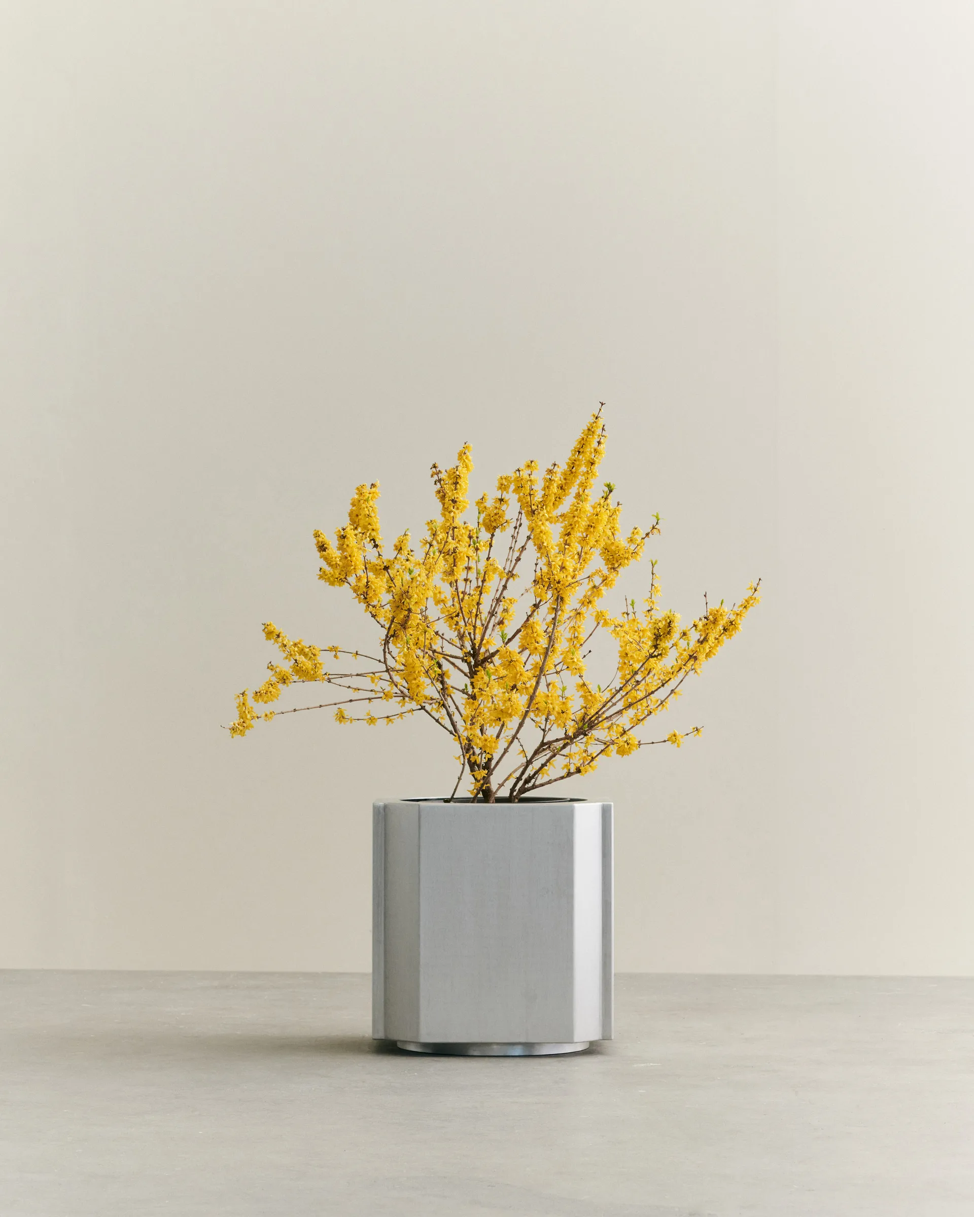 Funki kruka L 52 cm, Brushed Aluminium Louise Roe