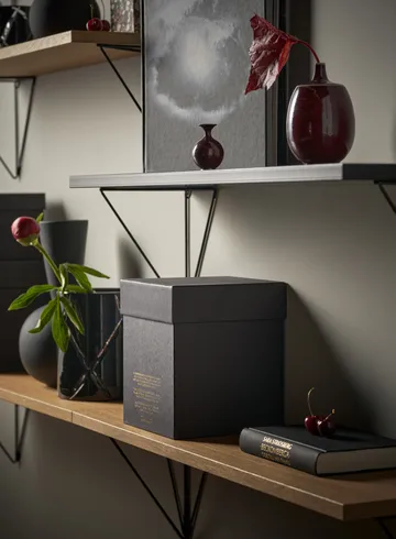 Pythagoras Shelf hyllplan - ek - Maze