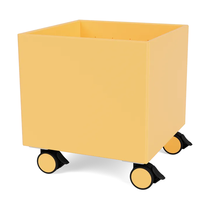 Colour Box I – S6161 - Acacia - Montana