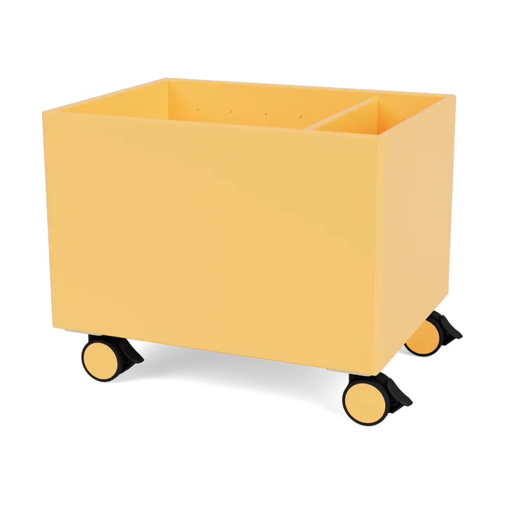 Colour Box II - Acacia - Montana