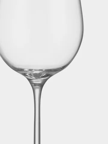 Orrefors x Björn Frantzén champagneglas 2-pack - 28 cl - Orrefors