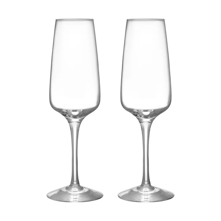 Pulse champagneglas 28 cl 2-pack - Klar - Orrefors