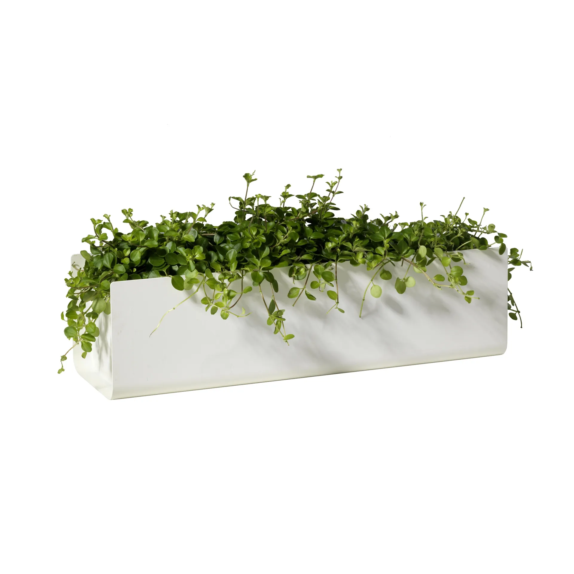 Jorda balkonglåda, Vit 60 cm SMD Design