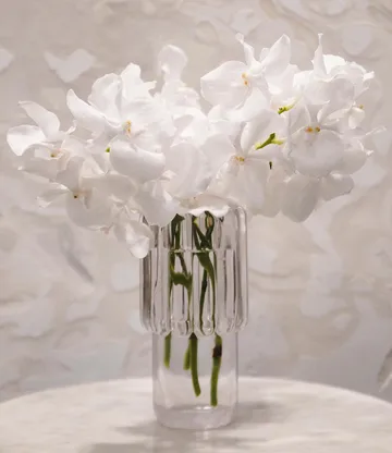 Press Medium vas - Klar - Tom Dixon