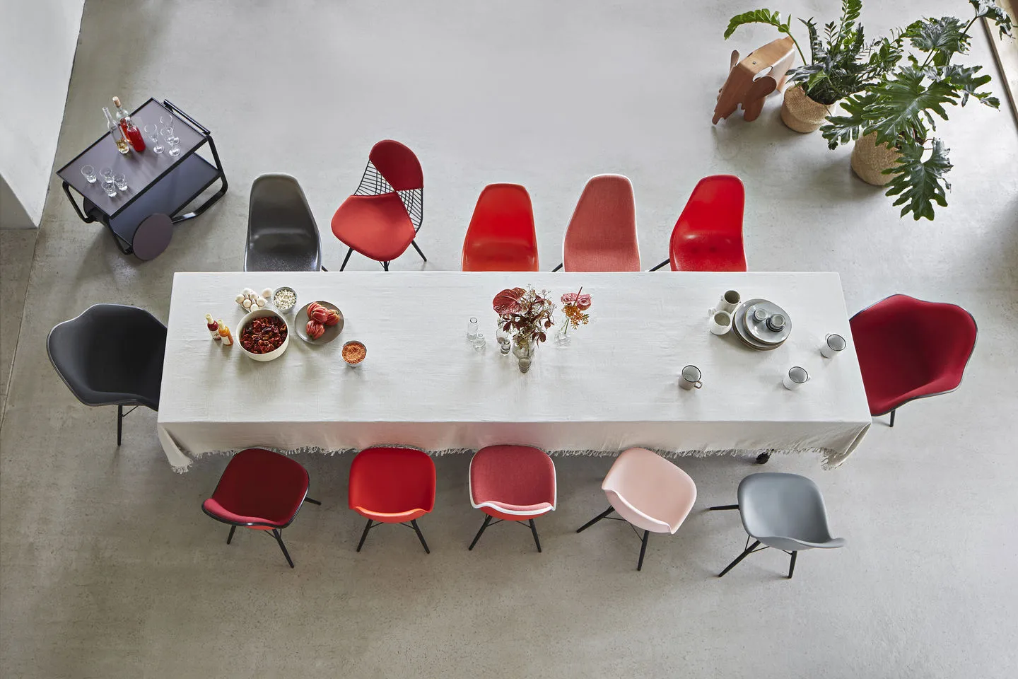 Eames Plastic Side Chair RE DSW stol, 41 pale rose-black maple Vitra